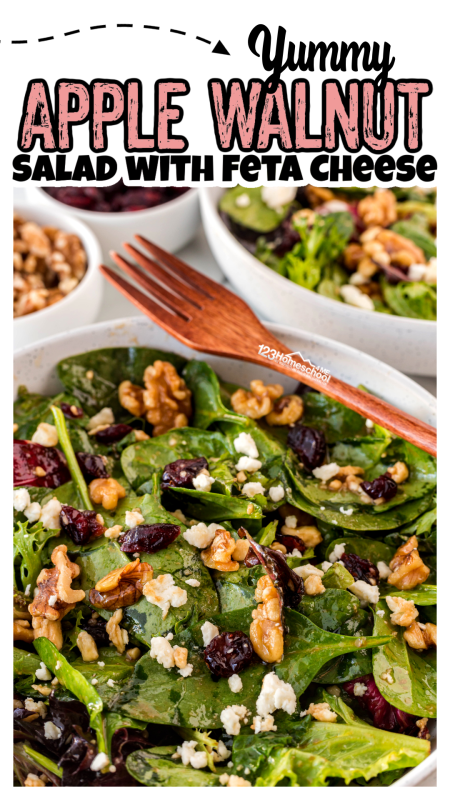 One of my favorite salad recipes has to be Apple Walnut Salad with Feta Cheese! This delicious creation bursts with amazing flavors that will have you forgetting you’re enjoying a healthy dish! I pack this salad with vibrant beets, crisp apples, crunchy walnuts, and creamy feta—it's a crowd-pleaser that everyone adores! Perfect for any occasion! One of my favorite salad recipes has to be Apple Walnut Salad with Feta Cheese! This delicious creation bursts with amazing flavors that will have you forgetting you’re enjoying a healthy dish! I pack this salad with vibrant beets, crisp apples, crunchy walnuts, and creamy feta—it's a crowd-pleaser that everyone adores! Perfect for any occasion!