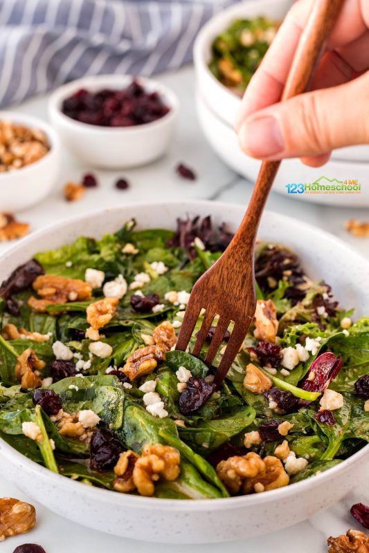 beet salad with feta cheese and walnuts Check out the amazing benefits of these salad favorites:
Salad Greens: Packed with vitamins and minerals, these leafy veggies promote digestion and are low in calories, making them perfect for any meal!
Apples: These crunchy fruits are full of antioxidants and fiber, which can help keep your heart healthy and your digestive system on track.
Beets: Rich in nutrients, beets are known for their ability to improve blood flow and lower blood pressure while adding a pop of color to your plate!
Feta Cheese: Not only does it add a delicious tang, but feta is also a great source of protein and calcium, supporting bone health!
Walnuts: These nutritious nuts are loaded with healthy fats and omega-3s, which are great for brain health and reducing inflammation!