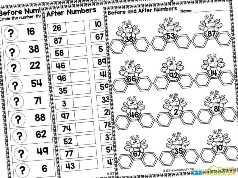Before after math worksheets Looking for a fun and easy way to teach kindergarteners and first graders about numbers? Check out our free printable Before and After Number Worksheets! These engaging worksheets help little learners understand numerical order while they play and explore. Your child will practice identifying what numbers come before, after, and even in between!
Whether you’re a parent, teacher, or homeschooler, you’ll appreciate these delightful math printables. Designed in black and white, these pages can be laminated for repeated use, making them a fantastic resource for kids of all ages. Say goodbye to prep work and hello to easy-to-use materials that your students will love!