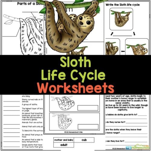 Life Cycles Archives - 123 Homeschool 4 Me