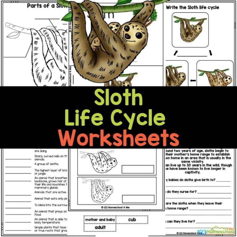 Discover the sloth life cycle with free printable worksheets designed for students from 1st to 6th grade, perfect for enhancing science vocabulary and reading comprehension!