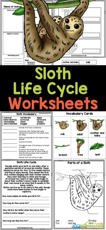 Learn about the sloth life cycle with these free printable life cycle worksheets! Included in this 30 page pack are a wide variety of life cycle of a sloth printables to learn science vocabulary, work on reading comprehension, and so much more. Download these life cycle printables for 1st grade, 2nd grade, 3rd grade, 4th grade, 5th grade, and 6th grade students! Learn about the sloth life cycle with these free printable life cycle worksheets! Included in this 30 page pack are a wide variety of life cycle of a sloth printables to learn science vocabulary, work on reading comprehension, and so much more. Download these life cycle printables for 1st grade, 2nd grade, 3rd grade, 4th grade, 5th grade, and 6th grade students!