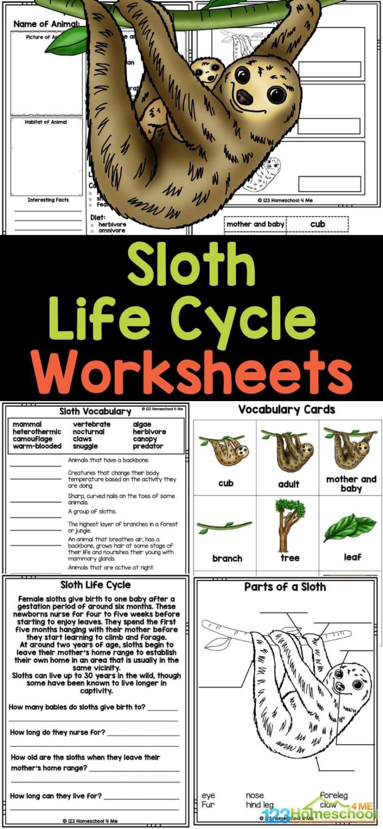 Sloth Math Worksheet Sloth Life Cycle Worksheets