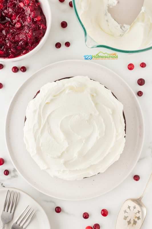 Best cranberry cake recipe Generously pile whipped cream on just the top of the cake for a delightful finishing touch!