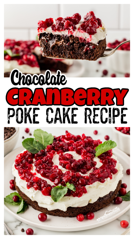 Indulge in the irresistible blend of rich dark chocolate and tart cranberry with our delightful Chocolate Cranberry Cake! This poke cake recipe not only ensures maximum moisture but is also incredibly simple to whip up. Trust us, this stunning and scrumptious best cranberry cake recipe will quickly become your go-to cranberry dessert!