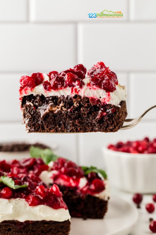 Cranberry cake recipe Check out this stunning cake! With pockets of melted chocolate, rich chocolate syrup, and tart cranberries, each slice is a delicious treat. The smooth top frosting and fresh cranberries create the perfect harmony of flavors for an unforgettable bite!