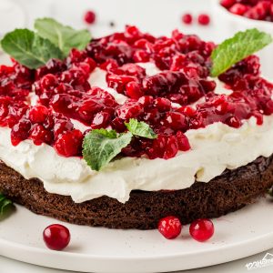 Indulge in the moist and easy-to-make Chocolate Cranberry Cake, featuring a delightful blend of dark chocolate and cranberry that's sure to impress!