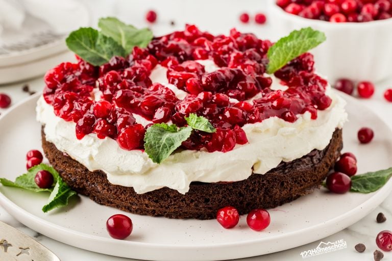 Indulge in the moist and easy-to-make Chocolate Cranberry Cake, featuring a delightful blend of dark chocolate and cranberry that's sure to impress!