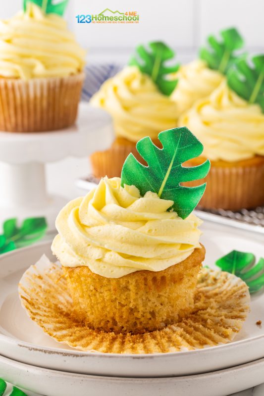 summer cupcakes summer cupcakes