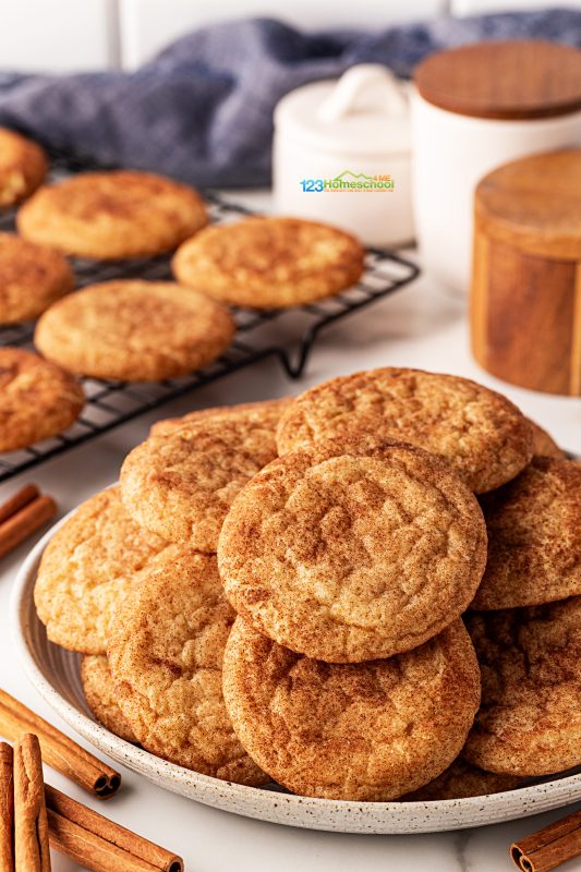 Classic snickerdoodle recipe