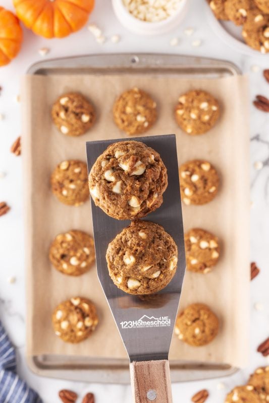 Pumpkin and white chocolate cookies
Once the cookies have cooled and are set, gently use a spatula to transfer them into an airtight container for storage.