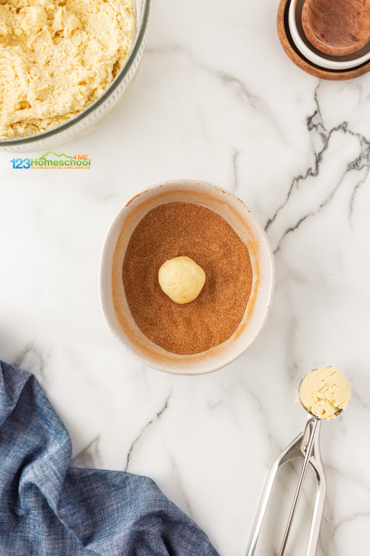 In a small bowl, combine sugar and cinnamon.

Using a cookie scoop, drop your cookie balls into the cinnamon-sugar mixture. Make sure to coat them well with a spoon, and then give them a second dip to ensure they’re completely covered in that sweet goodness!
