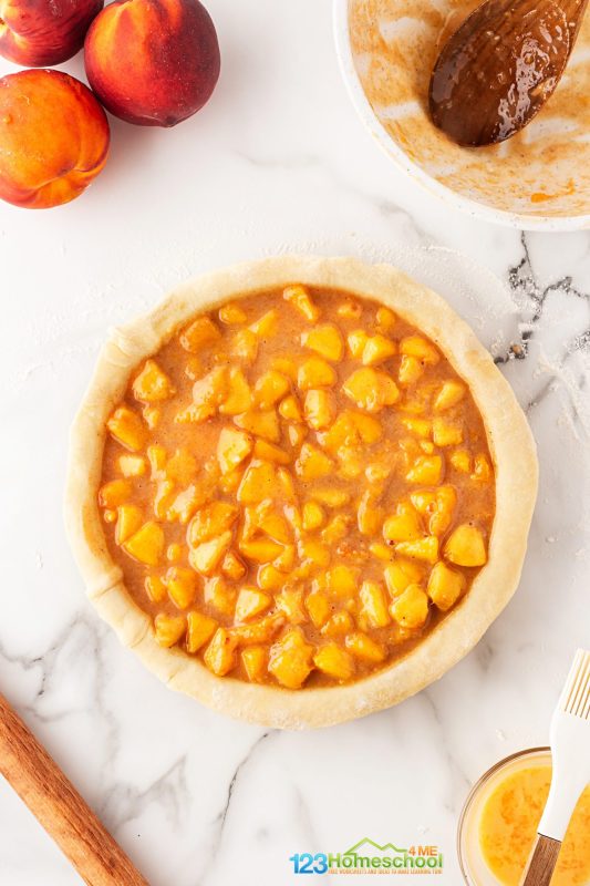 put peach filling in lined pie plate Pour and spread your filling evenly into a pie dish lined with your favorite crust! Once done, let it rest at room temperature or pop it in the fridge while you prepare the top crust.